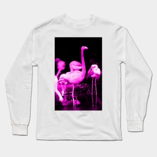 Hot Pink Flamingos Long Sleeve T-Shirt